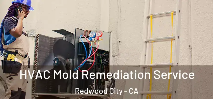 HVAC Mold Remediation Service Redwood City - CA