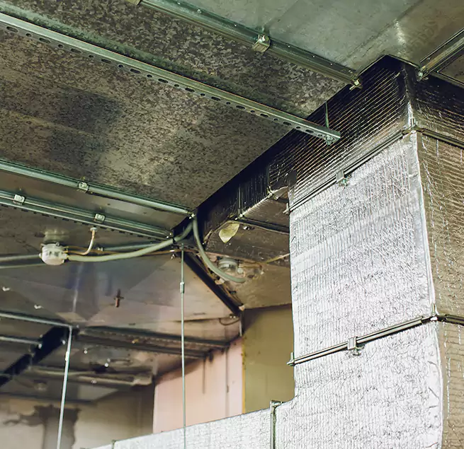 Why Homeowners & Businesses Trust Us in Redwood City, CA?